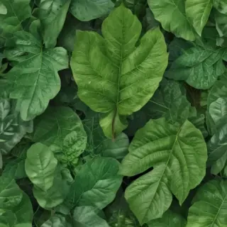 green leaf png