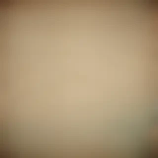 vintage texture overlay