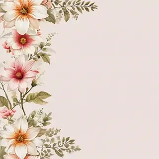 flower transparent border