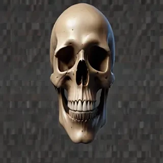 skull png transparent