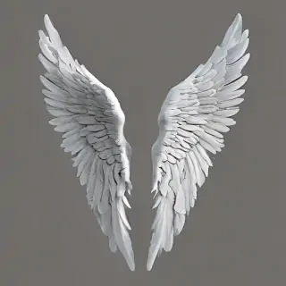 realistic angel wings png