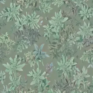 sage aesthetic wallpaper