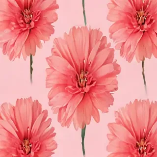 flower no bg