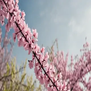 springtime iphone wallpaper