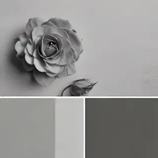 aesthetic grey