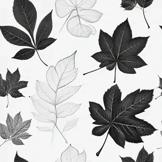 leaves clip art black and white