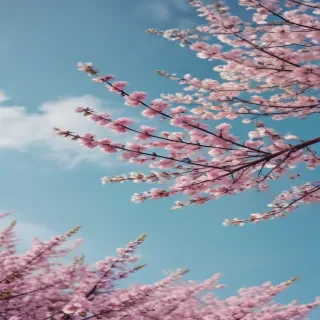 spring desktop wallpaper aesthetic