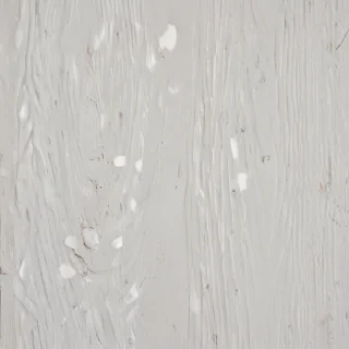 texture white wood