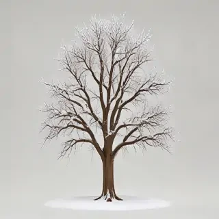 winter tree png
