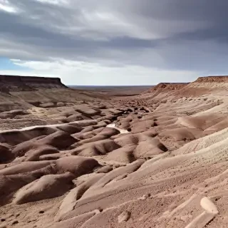 petrified forest
