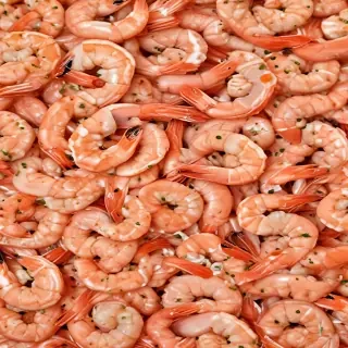shrimp png