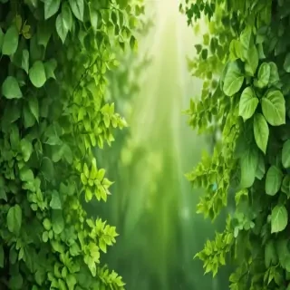 green leaves background