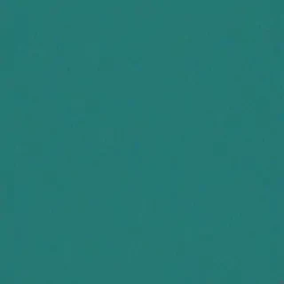 plain teal background