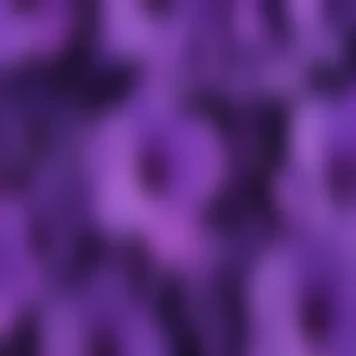 cute purple wallpaper for iphone