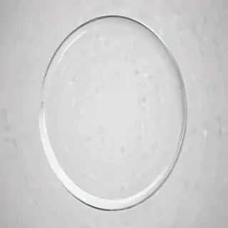 circle transparent background