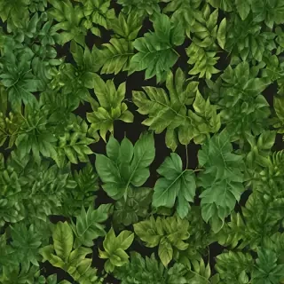 leaves png transparent