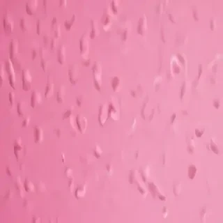 pink cover photo