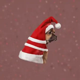 christmas hat no background