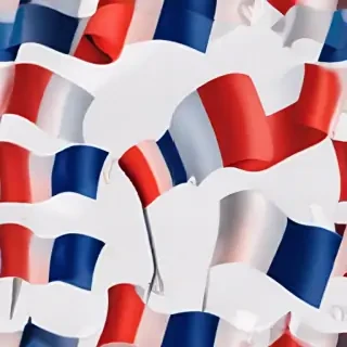 france flag