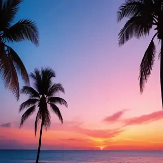 summer phone background