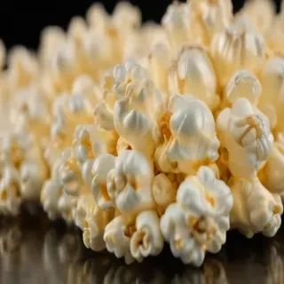 transparent popcorn