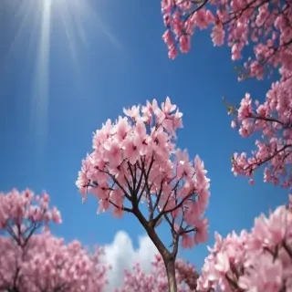 spring iphone background