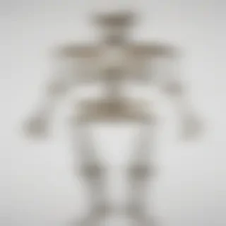 skeleton transparent