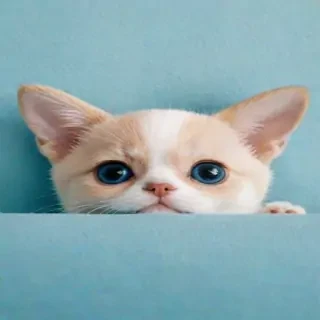 cute blue background