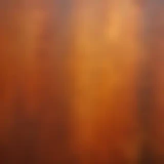 rusty background