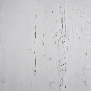 texture white wood