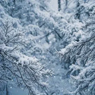 snow iphone background