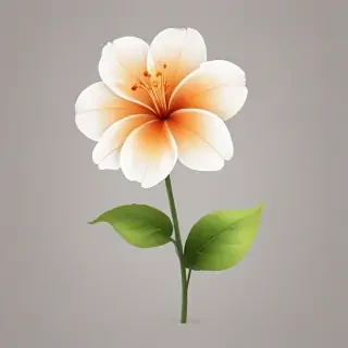 transparent background flower clipart