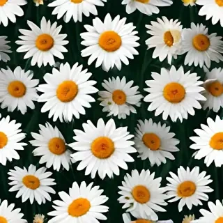 daisy background wallpaper