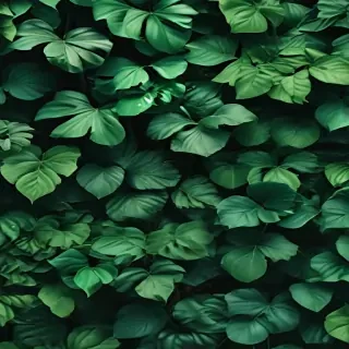 aesthetic green background