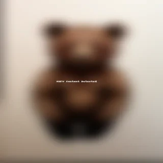 bear drawings