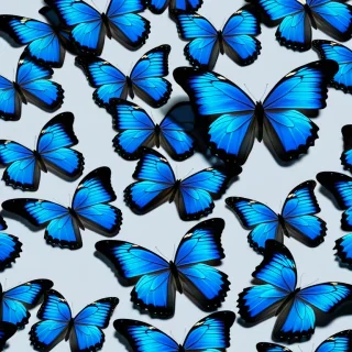 blue butterfly aesthetic