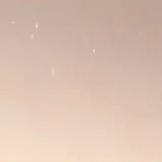 neutral aesthetic background