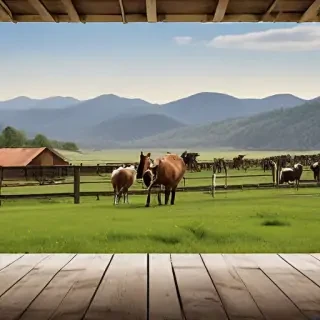 ranch background