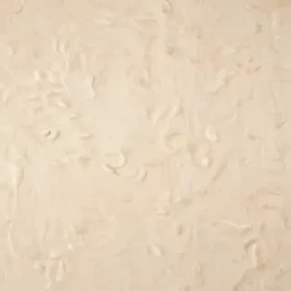 backgrounds cream