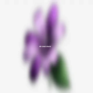 purple flower png