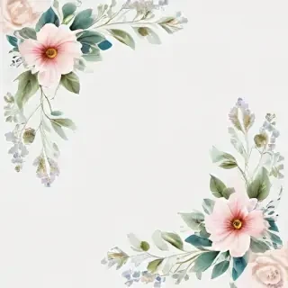 flower transparent border
