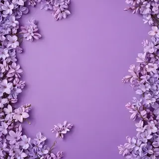 lilac background