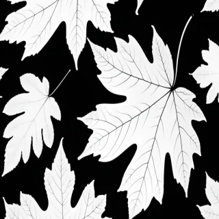 leaf white and black