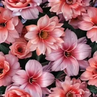 flower aesthetic wallpapers