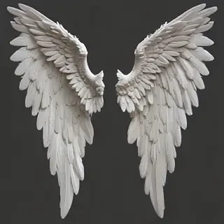 png angel wings
