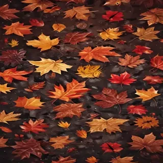 autumn iphone wallpaper