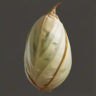 butterfly cocoon png