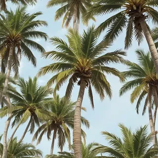palm trees png