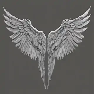 angle wings png