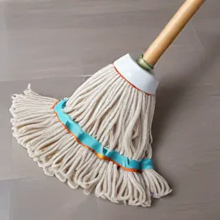 mop png